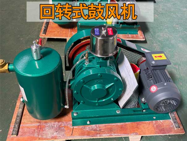 回轉式鼓風(fēng)機